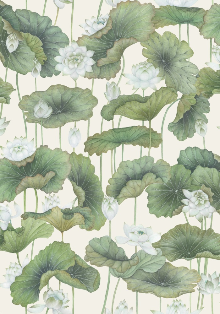 Cole & Son, Shinrin Yoku, Lily Lotus