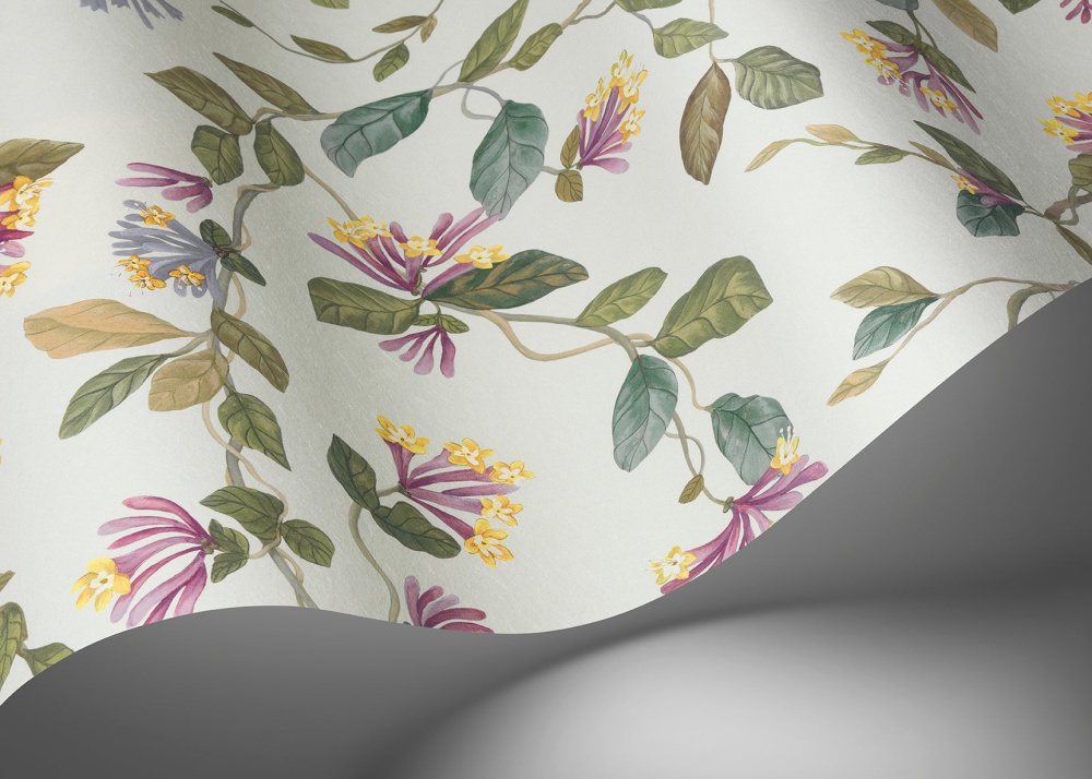 Cole & Son, Hummingbirds, Flora