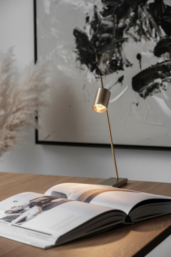 Trizo21
Aude table