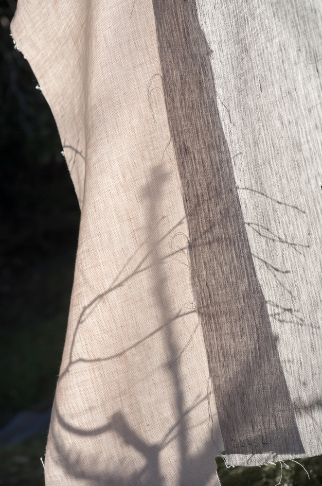 Dedar Wide Linen Signor Darcy