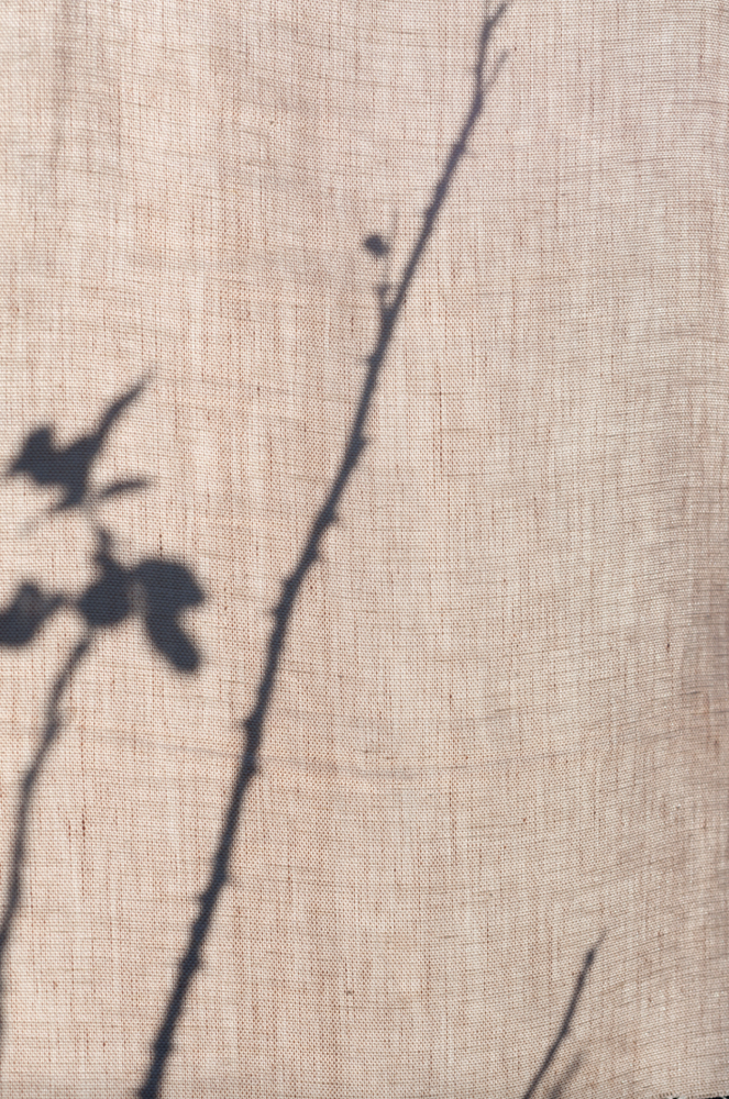 Dedar Wide Linen Signor Darcy