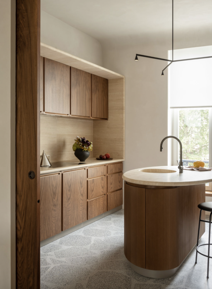 Trizo21 Austere suspension