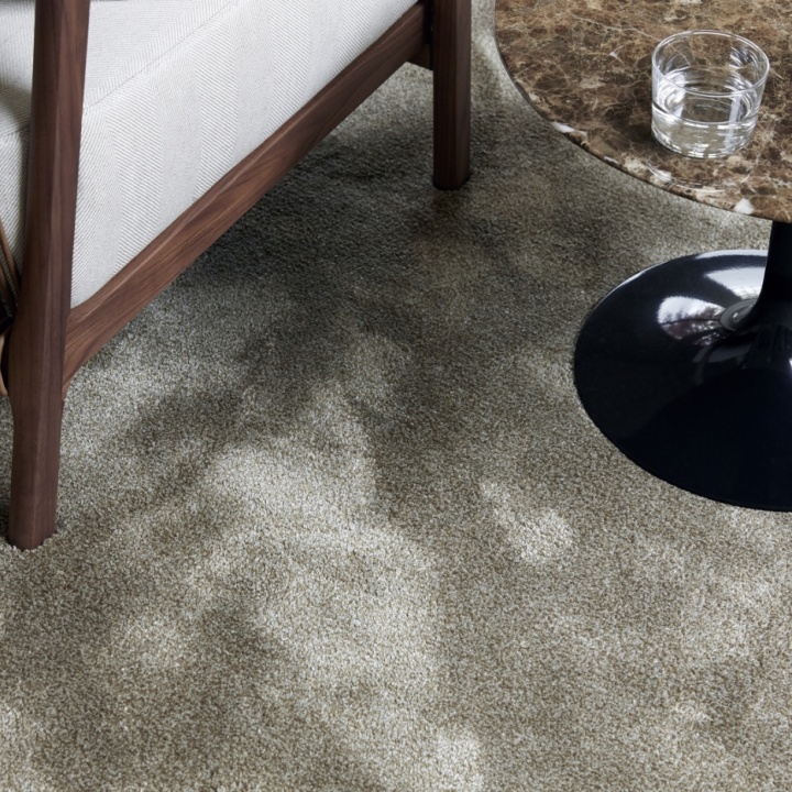 Frankly Amsterdam Day Light