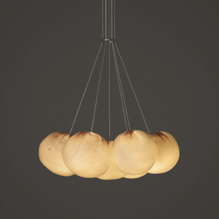 Bocci 84 Cluster